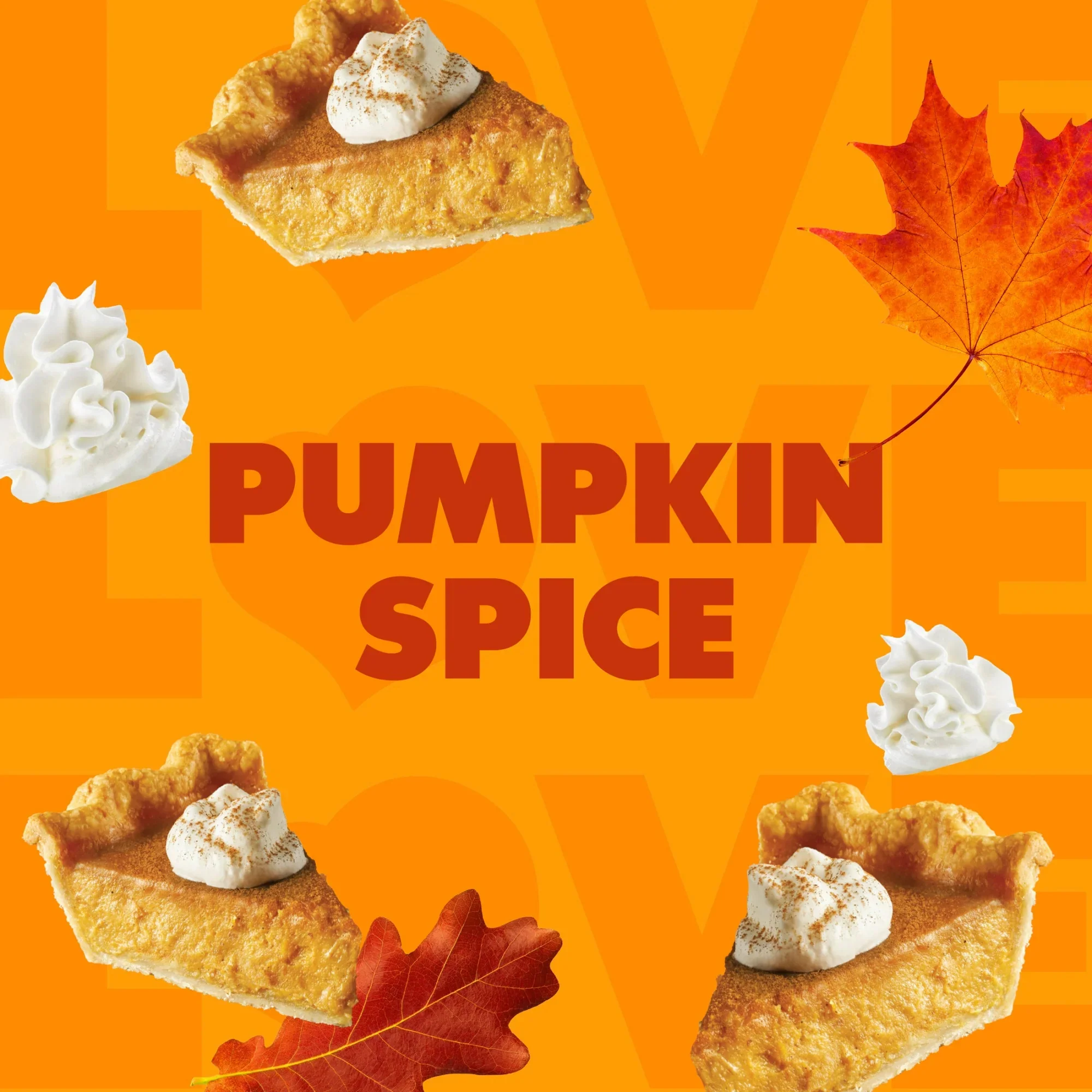 Coffee Mate Zero Sugar Pumpkin Spice 32oz (946ml) - Image 3