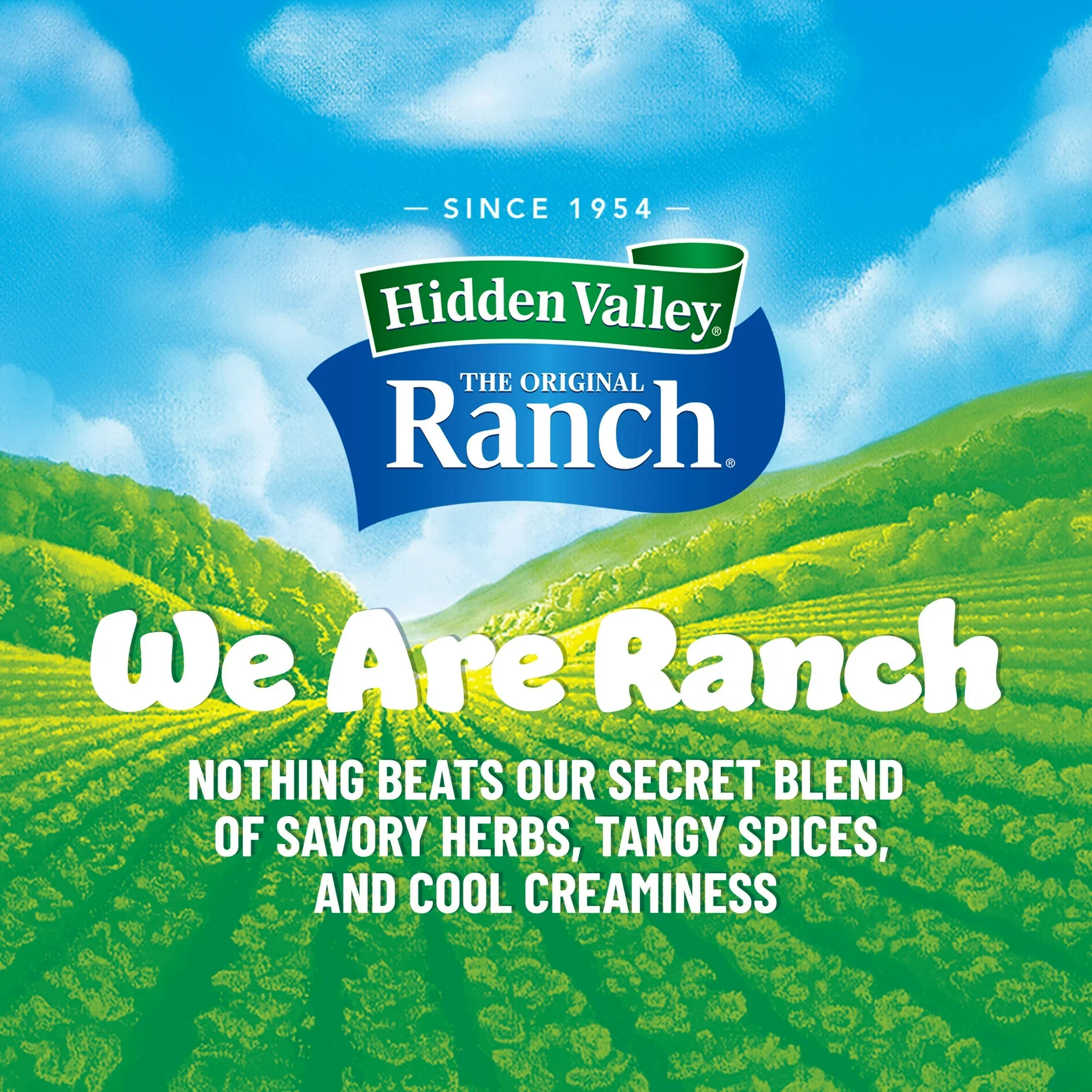 Hidden Valley Gluten Free Original Ranch Salad Dressing and Topping 24oz (709ml) - Image 2