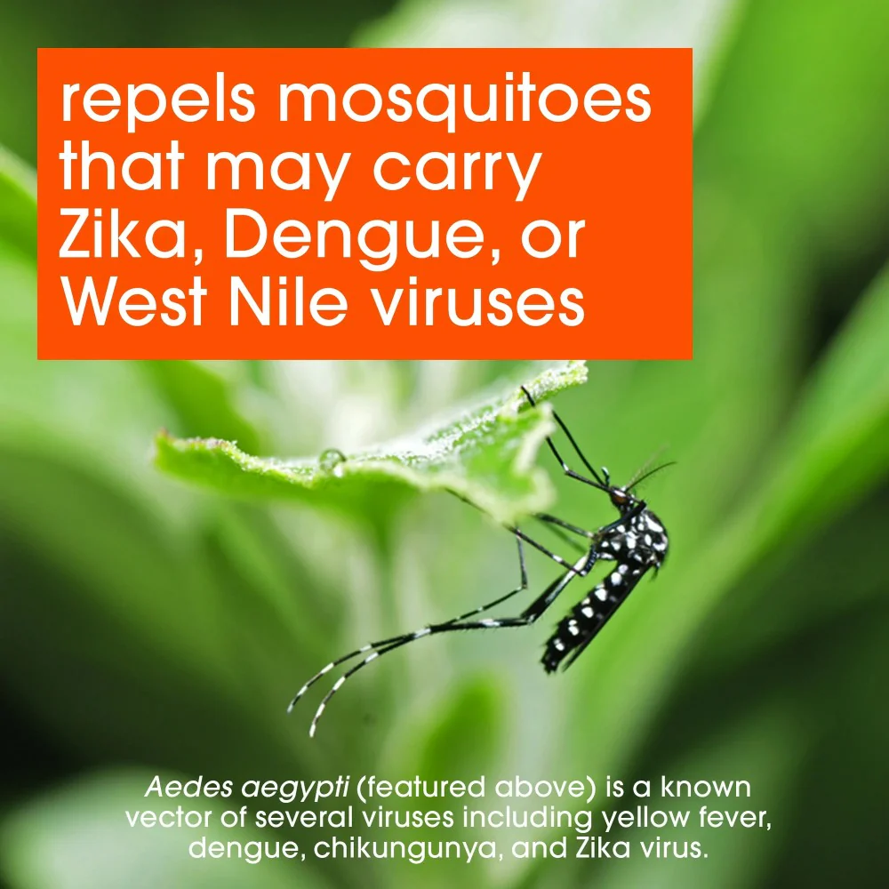OFF! Active Insect Repellent I 6oz (170g) - Image 4